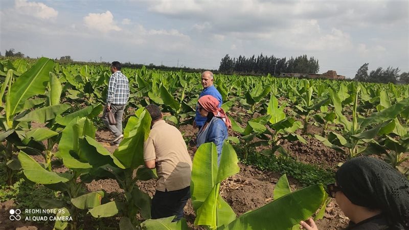 وزارة الزراعة واستصلاح