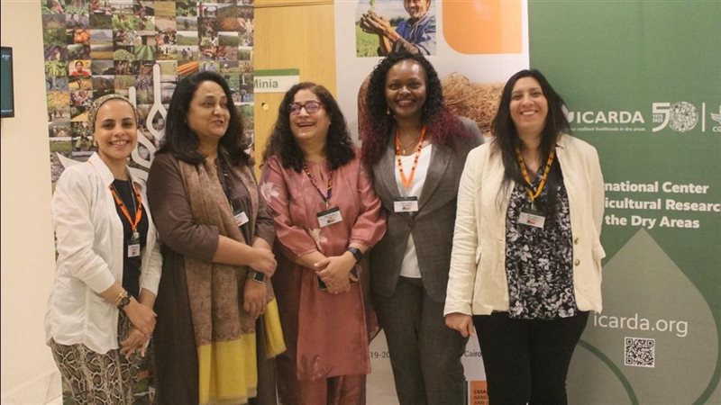 جانب من الفعاليات