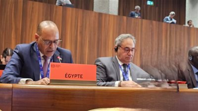 مصر تشيد بدور منظمة العمل الدولية في دعم العمل اللائق للفلسطينيين