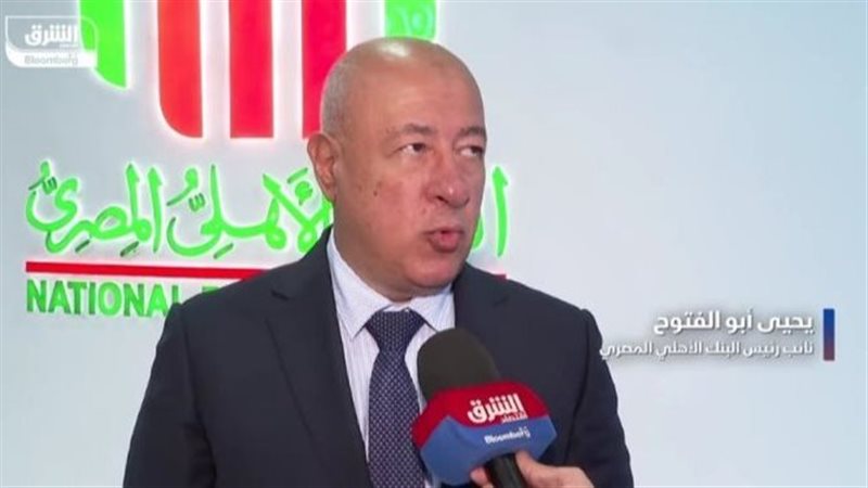 يحيى أبو الفتوح 