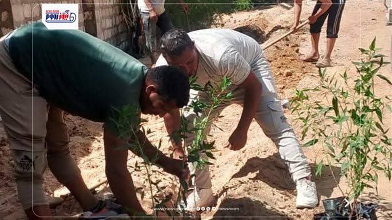 زراعة الأشجار بالمنيا