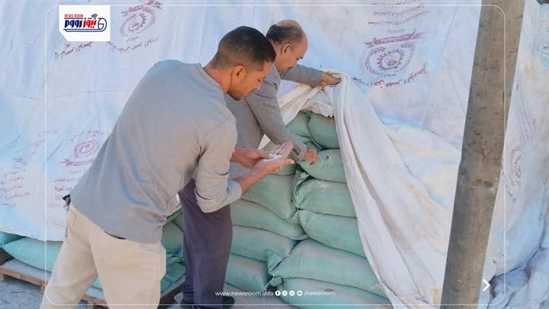 حملات المنيا التفتيشية