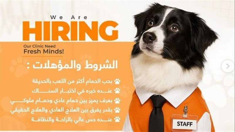 صورة موضوعية