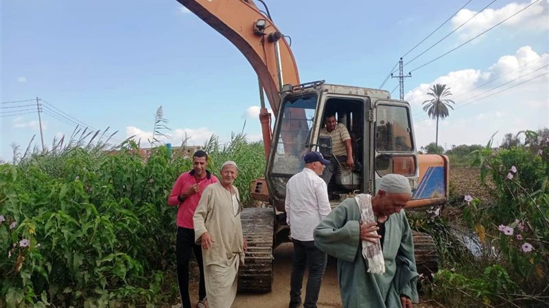 زراعة البحيرة تنجح