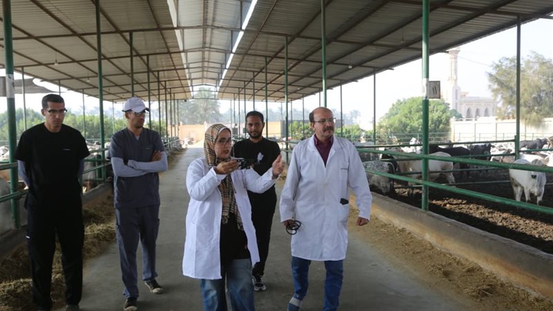 جانب من الحملة