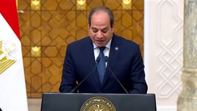 الرئيس السيسي يدعو الشركات الكورية لتعزيز استثماراتها في السوق المصرية