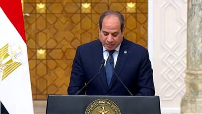 الرئيس السيسي: مقترح لإنشاء جامعة كورية متخصصة في العلوم والتكنولوجيا في مصر 