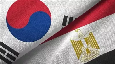خبير شؤون آسيوية: العلاقات بين مصر وكوريا الجنوبية تفتح آفاقًا واسعة للتعاون 