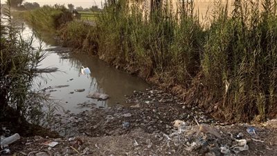 استغاثة أهالي قرية بالبحيرة: المجاري تسربت للأراضي الزراعية والأمراض انتشرت