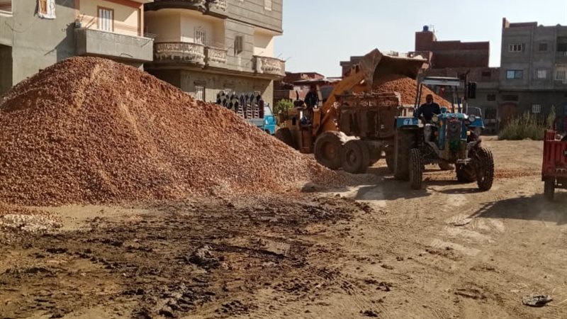 البحيرة تنظم يومًا