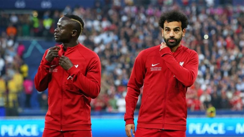 الملك محمد صلاح والأسد