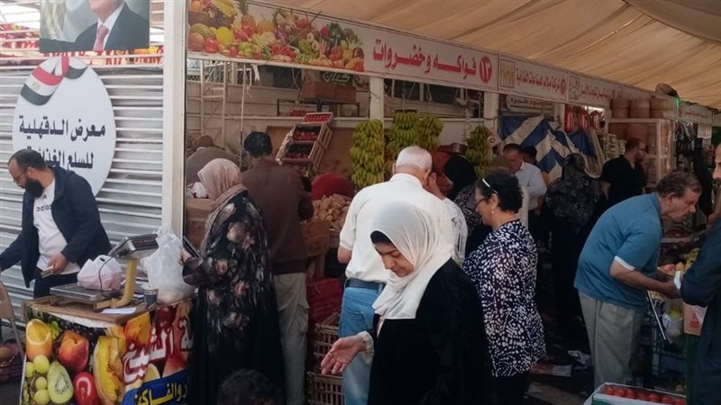 جانب من المعرض