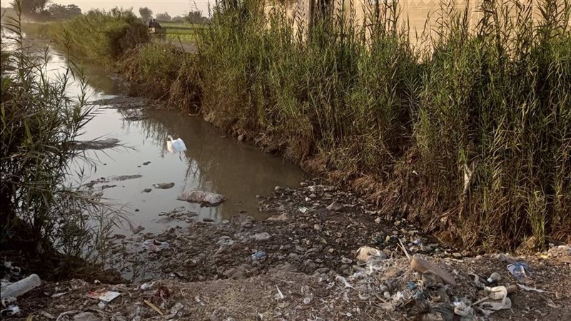 قرية جزيرة نكلا