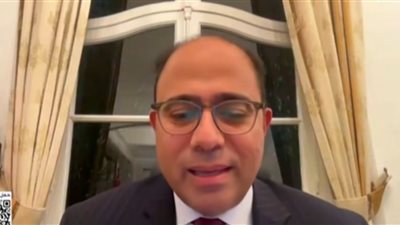 سفير مصر في بلجيكا: مشاركة لافتة وتأمين كامل.. وتوقعات بإقبال أكبر غدًا