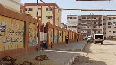 استمرار أعمال تجهيز مقار اللجان الانتخابية استعدادًا لانتخابات مجلس النواب 