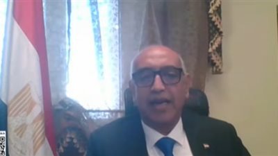 سفير مصر في السعودية: التصويت استمر حتى 11 مساء في اليوم الأول 