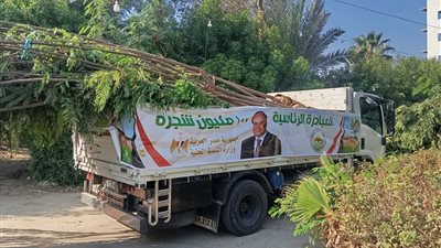 «بسيون» تتنفس أخضر.. غرس 90 شجرة جديدة تعيد رسم ملامح المدينة