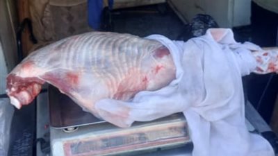 أسيوط: استمرار الحملات التموينية على المخابز والأسواق بالقوصية لضبط الأسعار