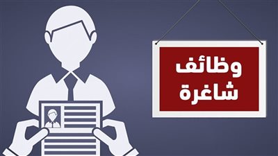 فرص عمل برواتب تصل إلى 14 ألف جنيه بالتعاون مع القطاع الخاص