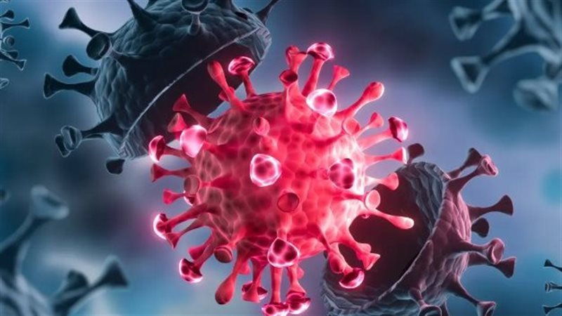 صورة موضوعية