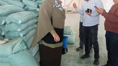 مديرية التموين بالسويس تضبط 2000 كيس مكرونة ولحوما وأسماكا غير صالحة