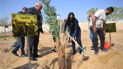 وزيرة التضامن الاجتماعي تغرس نخلة في حديقة 30 يونيو بالوادي الجديد