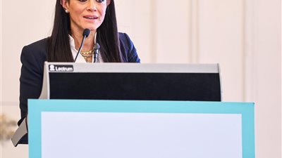 التخطيط: 70% من الاستثمارات العامة خضراء بحلول 2030 والقطاع الخاص شريك أساسي 