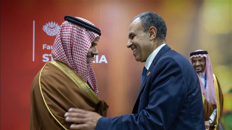 وزيرا خارجية مصر