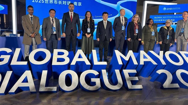 المشروعات التنموية