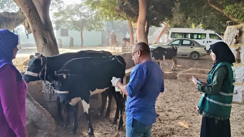 جانب من الحملة