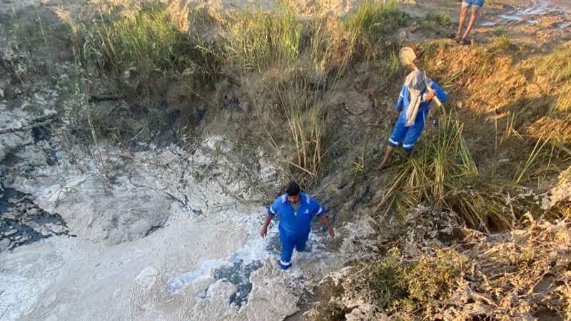 جانب من الأعمال 