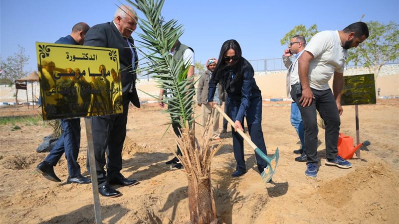 وزيرة التضامن تغرس