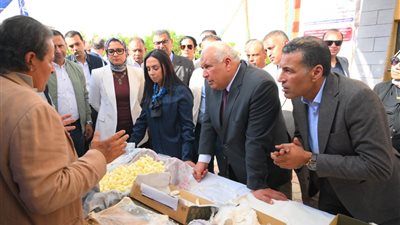 وزيرة التضامن تتفقد مشروع مزرعة الوقف الخيري بقرية المنيرة بالوادي الجديد