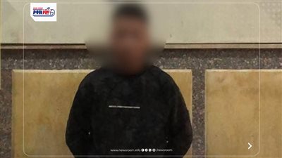 ضبط شاب نشر صور له وبحوزته سلاح ناري بدون ترخيص في الفيوم