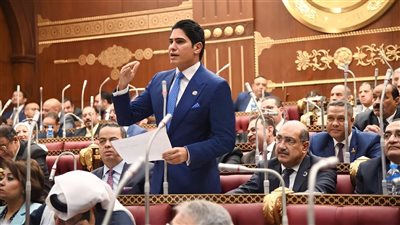 برئاسة أبو هشيمة.. اقتصادية الشيوخ تناقش تعديلات الضريبة العقارية غدًا