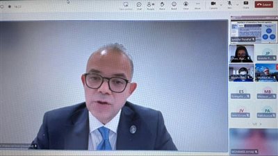 رئيس الرقابة المالية يلقي محاضرة افتراضية عن الإطار المنظم لأسواق المال