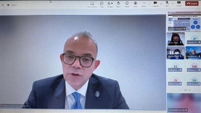 الرقابة المالية تلقي محاضرة افتراضية حول المعايير المنظمة لأسواق رأس المال