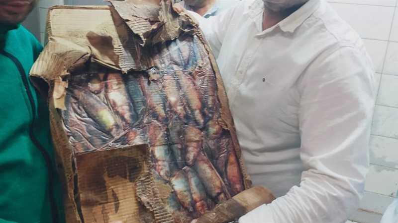 حملات بيطرية بالقليوبية