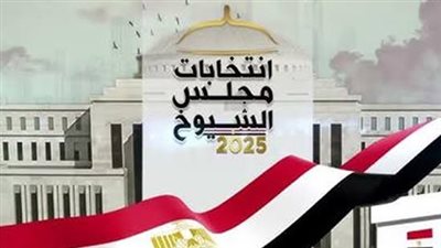 تخصيص فرق إرشاد داخل المقار الانتخابية لتوجيه الناخبين إلى اللجان بسهولة