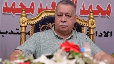 «ريشو» رئيسا لقطاع كهرباء العطف والمحموديةً.. و«الغزالي» مديرا عاما بطلخا 