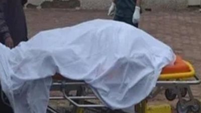 مصرع سائق صدمته سيارة مسرعة أثناء إصلاح مركبته بالبحيرة