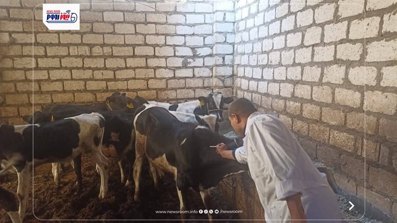 الطب البيطري بالمنيا