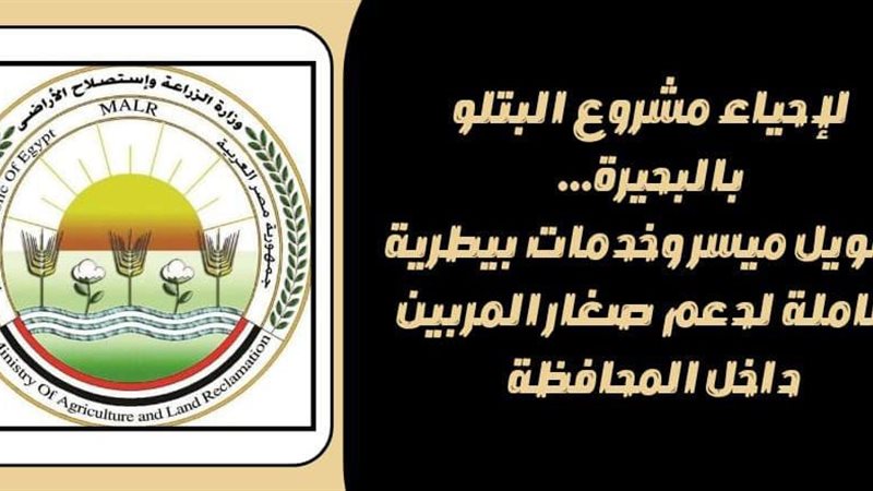 لاحياء البتلو تمويل