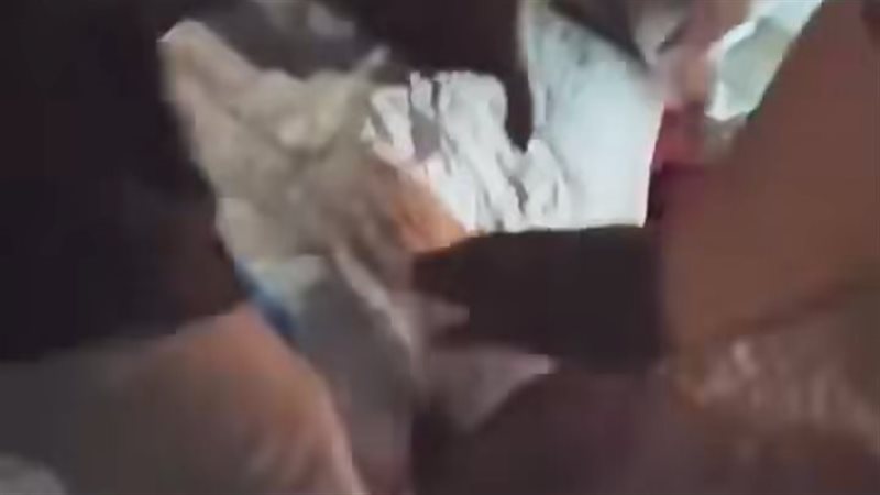 مصرع مسن صدمه اتوبيس