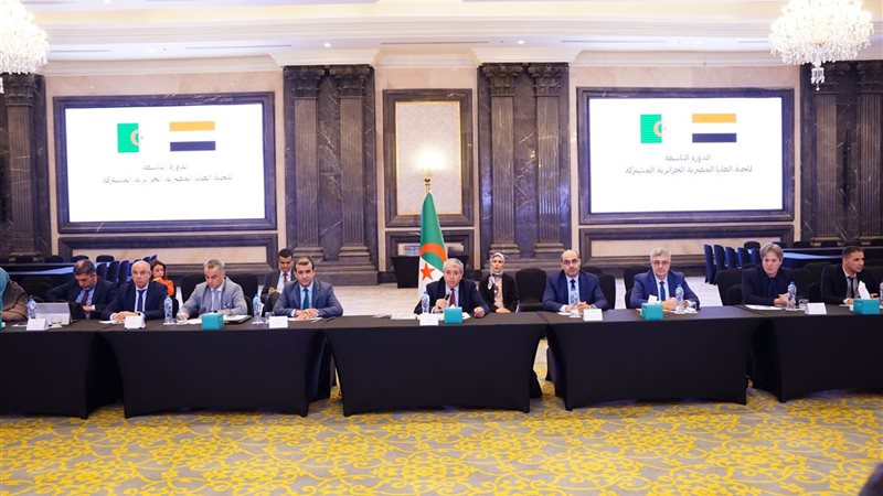 اللجنة العليا المصرية