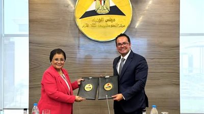 استمرار آفاق التعاون بين القومي للسكان ومركز المعلومات ودعم اتخاذ القرار