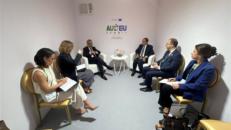 وزير الخارجية يلتقي