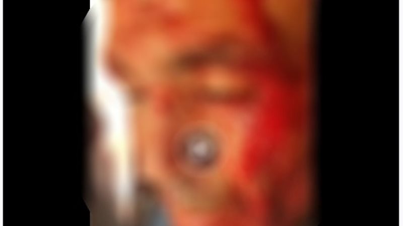 جانب من المنشور المتداول