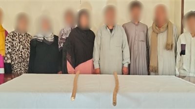 خلاف على قطعة أرض زراعية يشعل معركة طاحنة بين الأهالي بالشرقية