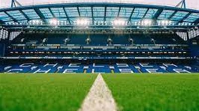 فيديو| ثعلب يثير الذعر في استاد تشيلسي قبل مواجهة برشلونة بدوري الأبطال